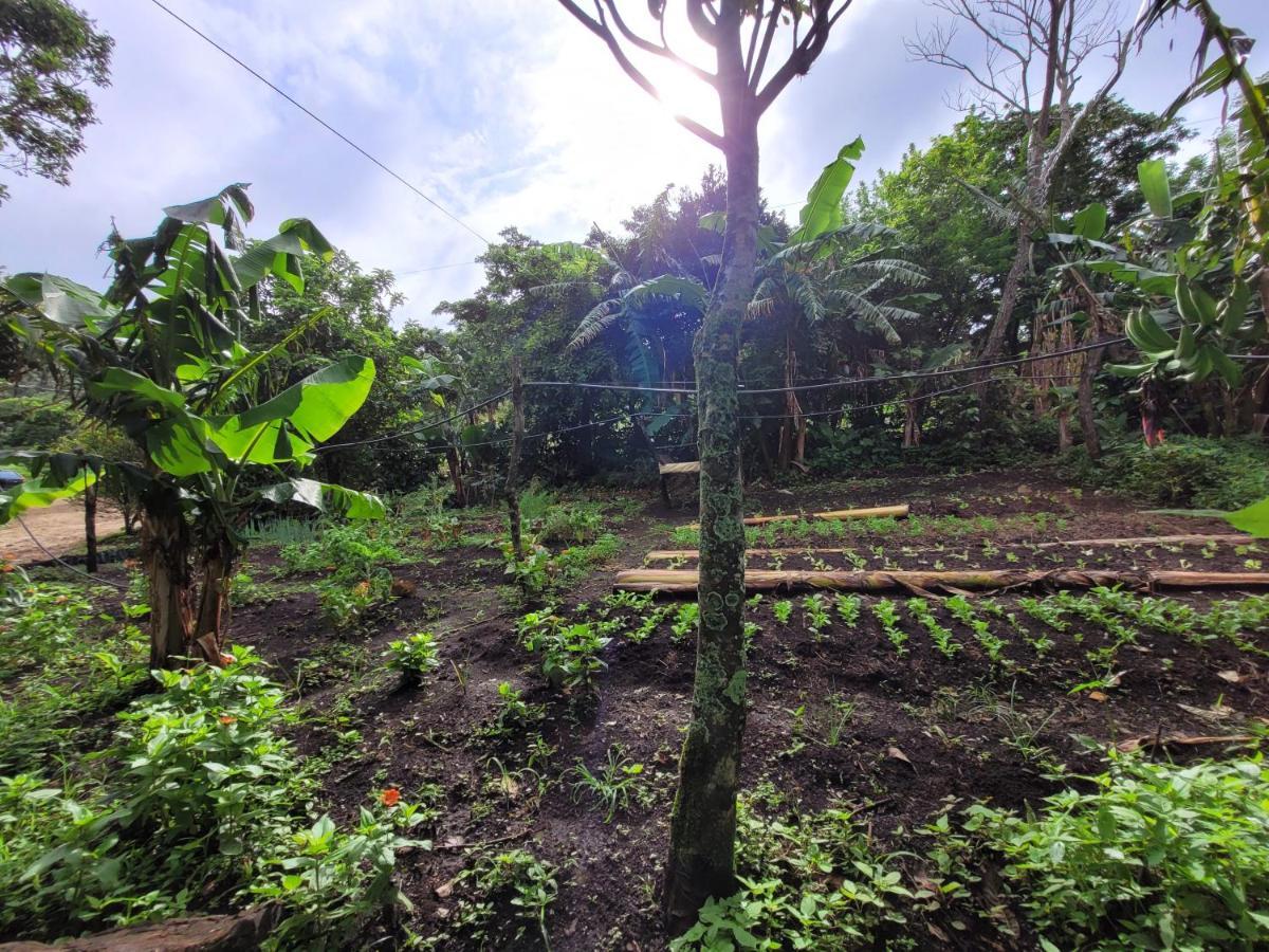 Granja Los Campesinos Monteverde Eksteriør billede