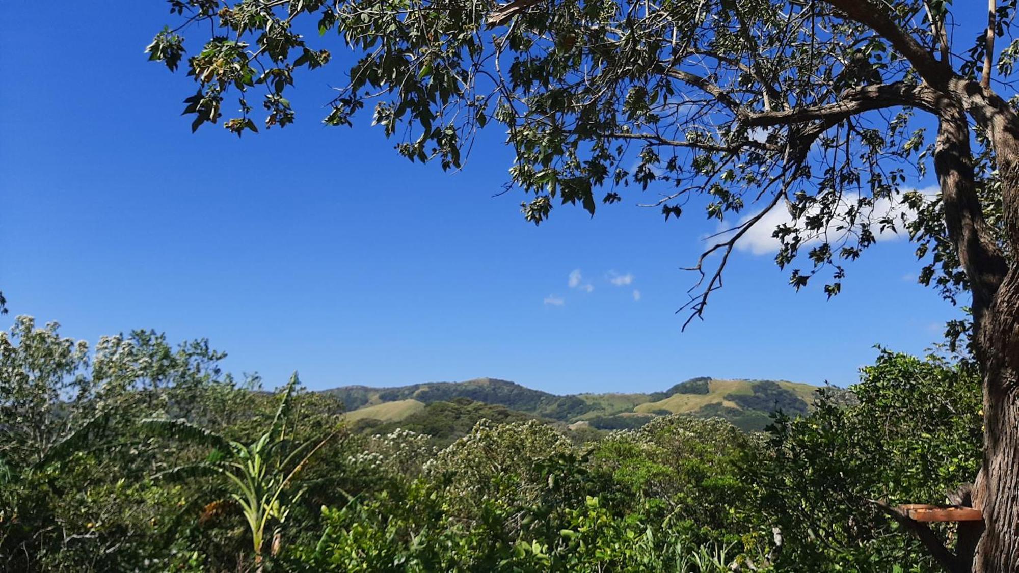 Granja Los Campesinos Monteverde Eksteriør billede